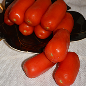 Plant Photo 8
