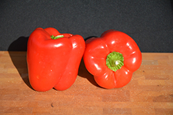 Big Red Sweet Pepper (Capsicum annuum 'Big Red') at Countryside Flower Shop & Nursery