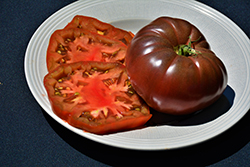 Cherokee Purple Tomato (Solanum lycopersicum 'Cherokee Purple') at Countryside Flower Shop & Nursery